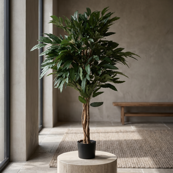 Arbol Mango