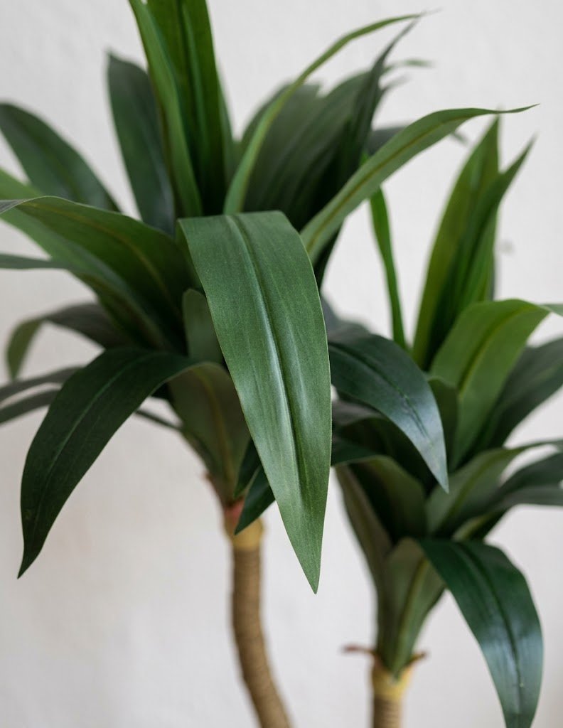 Dracena Artificial Céfiro · 135 cm - Imagen 3