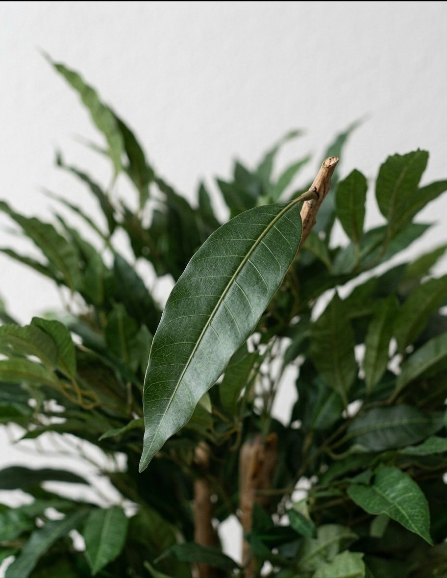 Árbol de Mango Artificial Cimborrio · 122 cm - Imagen 3