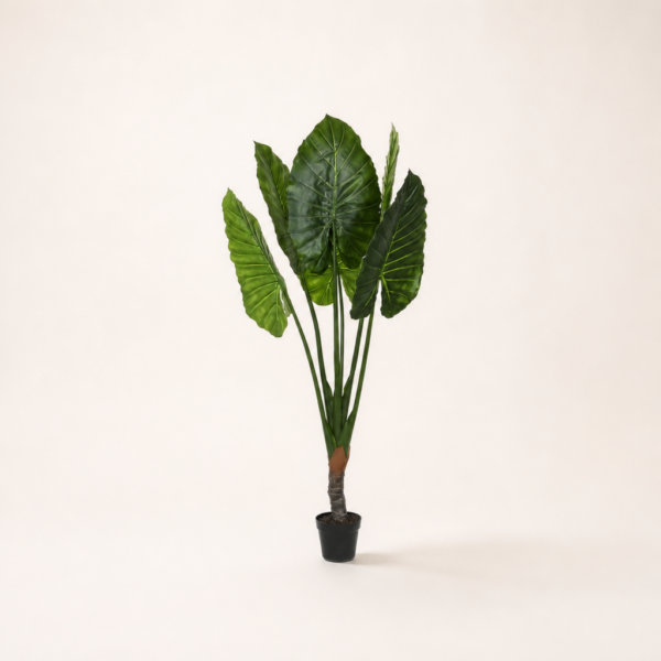 Taro artificial 180 cm con maceta negra sobre fondo blanco