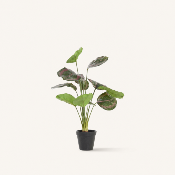 Planta Artificial Vísperas, decoración botánica estilo japandi · Vellune Home