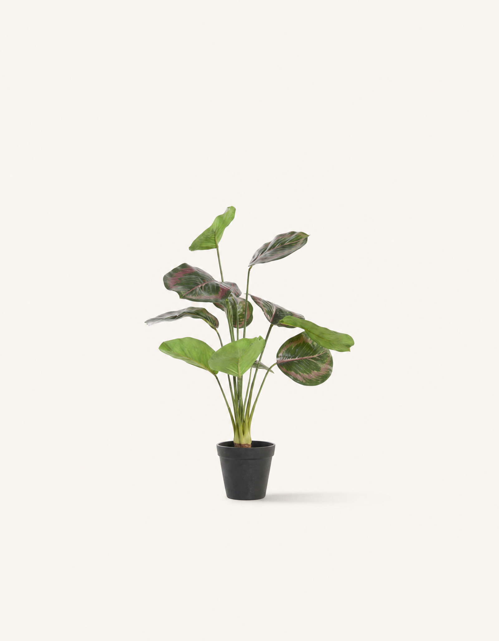 Planta Artificial Vísperas, decoración botánica estilo japandi · Vellune Home