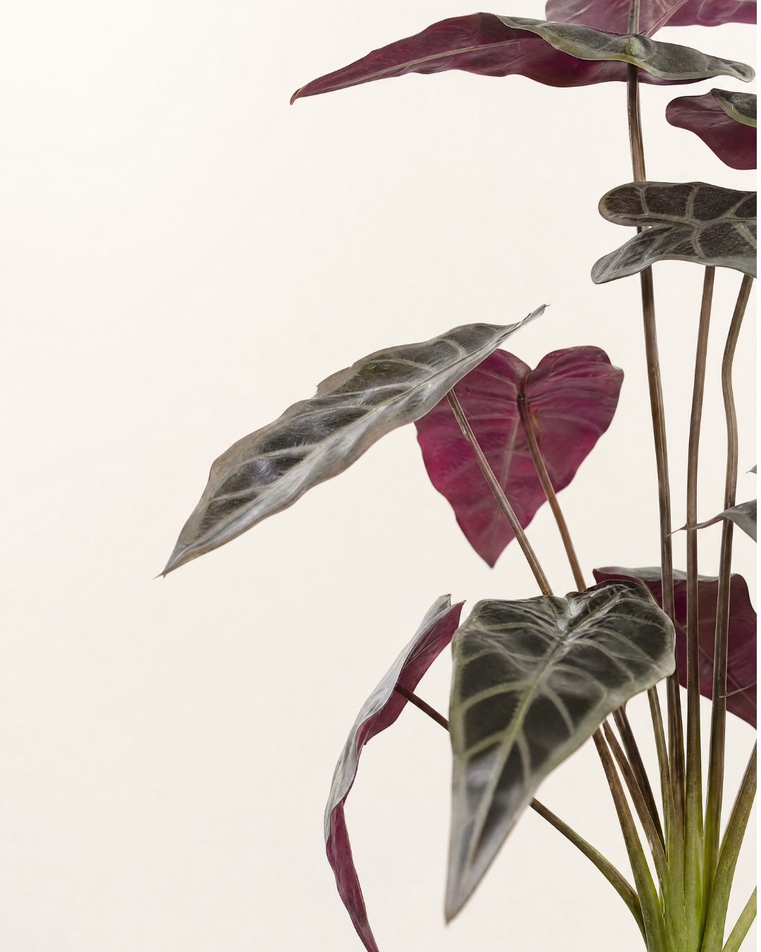 Planta Artificial Tregua · 49 cm - Imagen 2