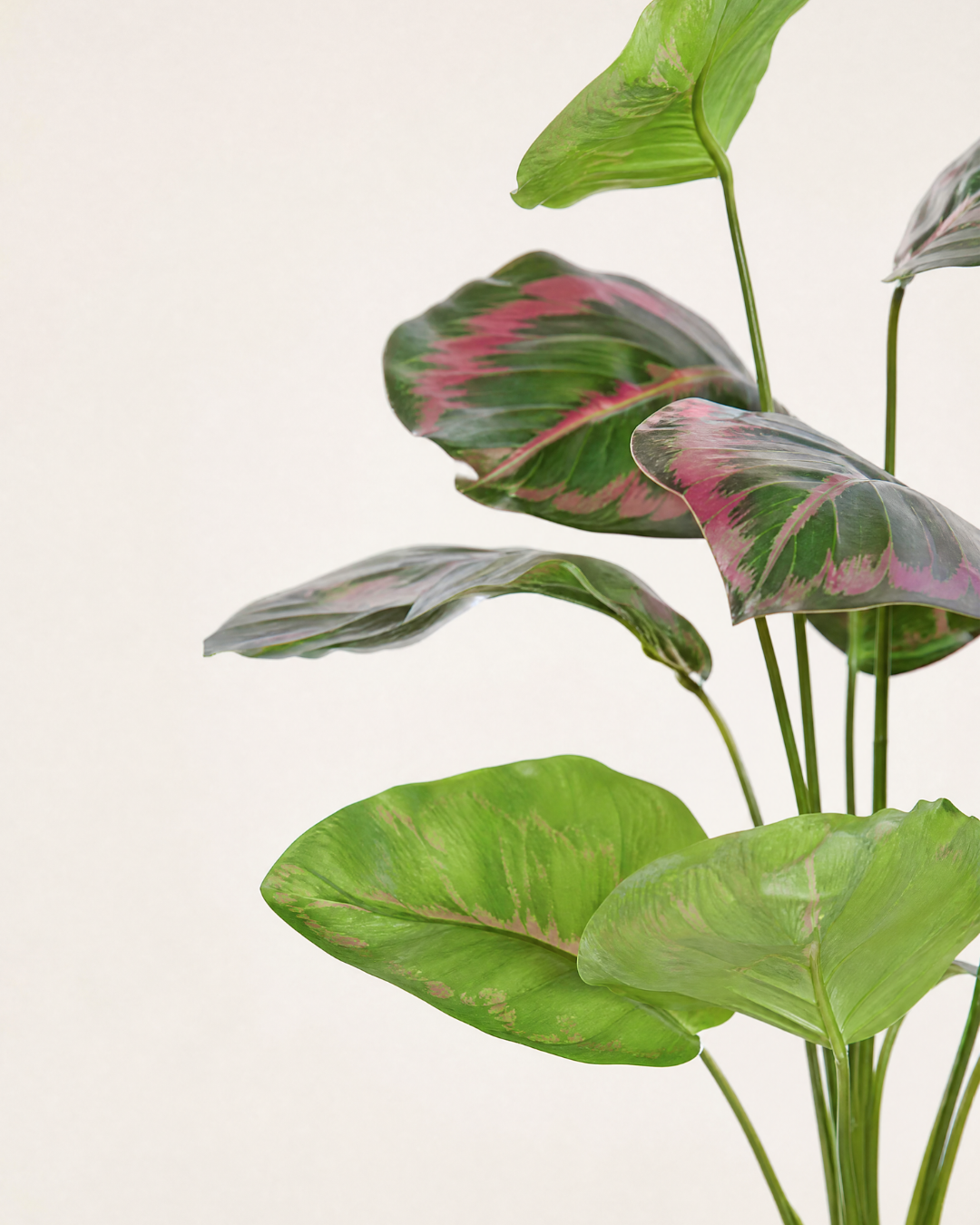 Planta Artificial Vísperas · 58 cm - Imagen 2