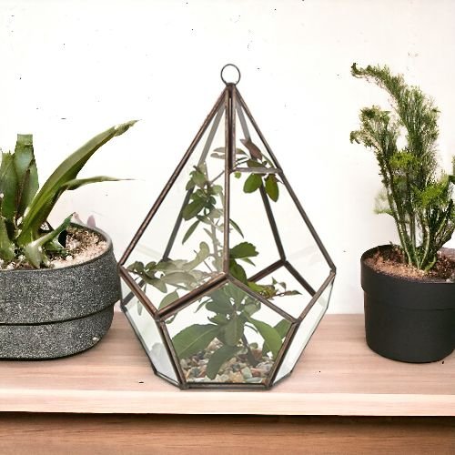 Terrario de vidrio pentágono grande de 14 × 14 × 21 cm